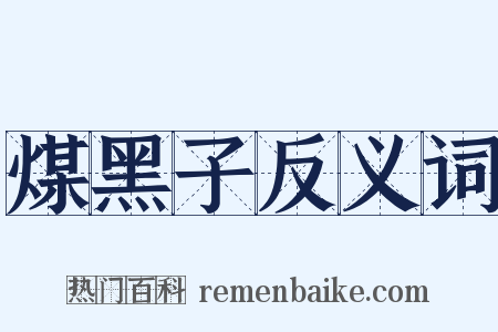 煤黑子反义词是什么意思的图片